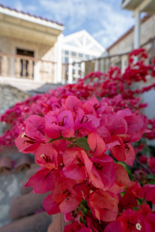 Nobela Hotel Alacatı Bagian luar foto